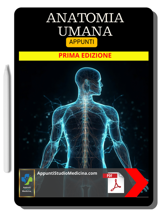 Anatomia Umana