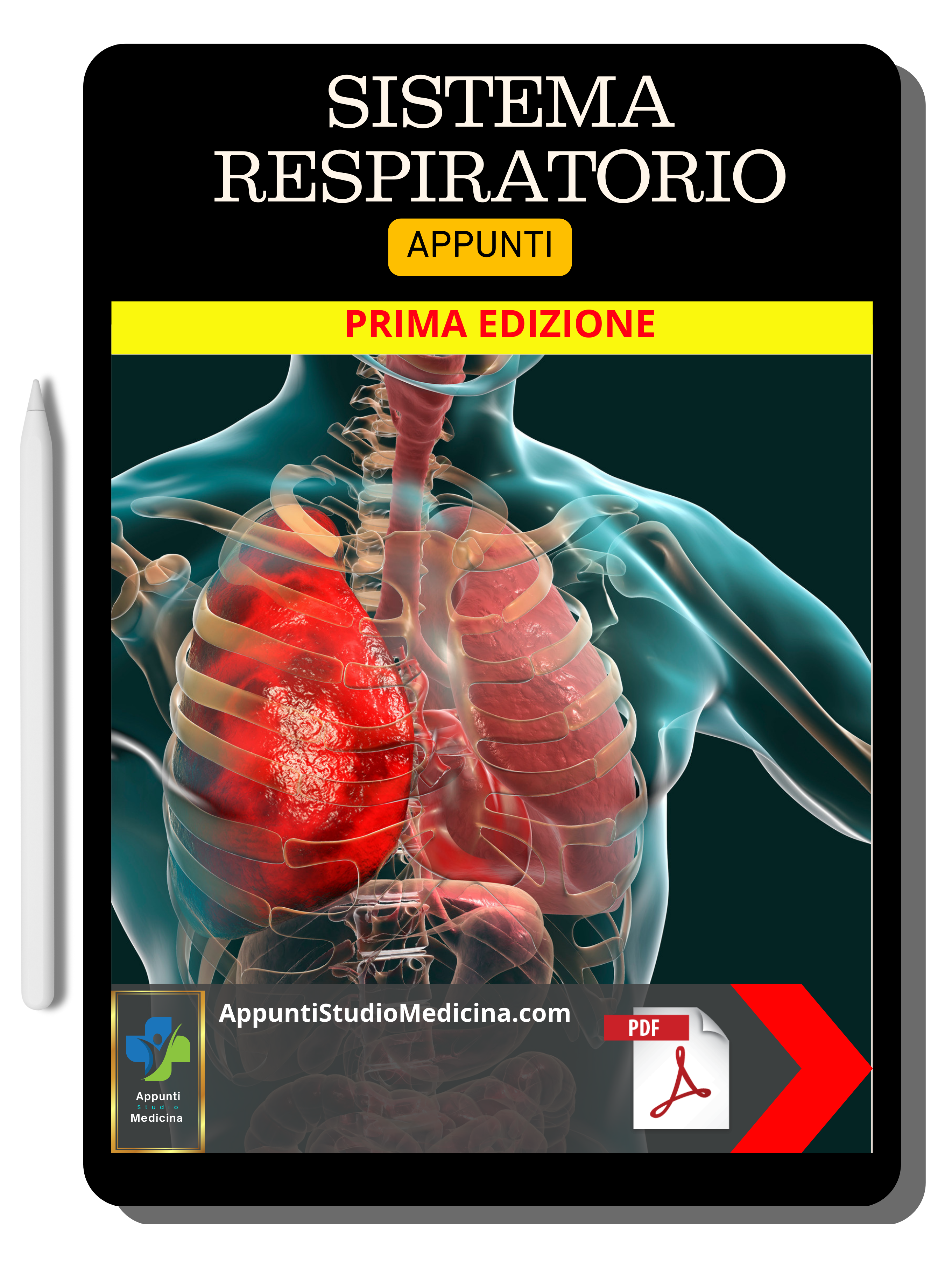 Sistema Respiratorio