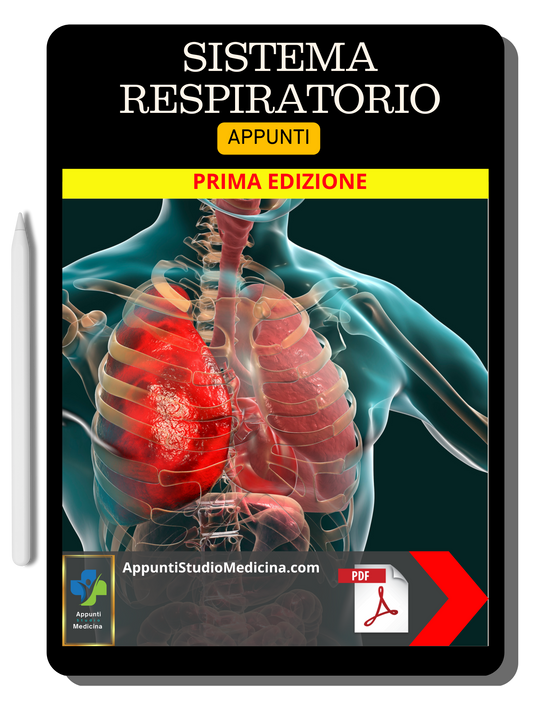 Sistema Respiratorio