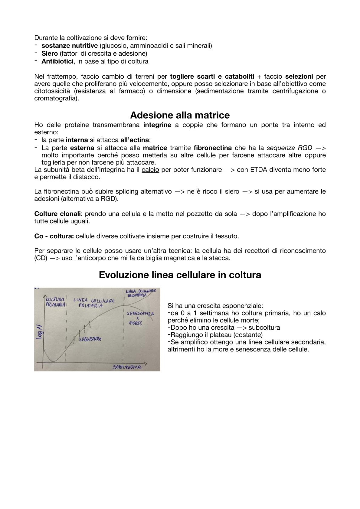 Medicina di Laboratorio