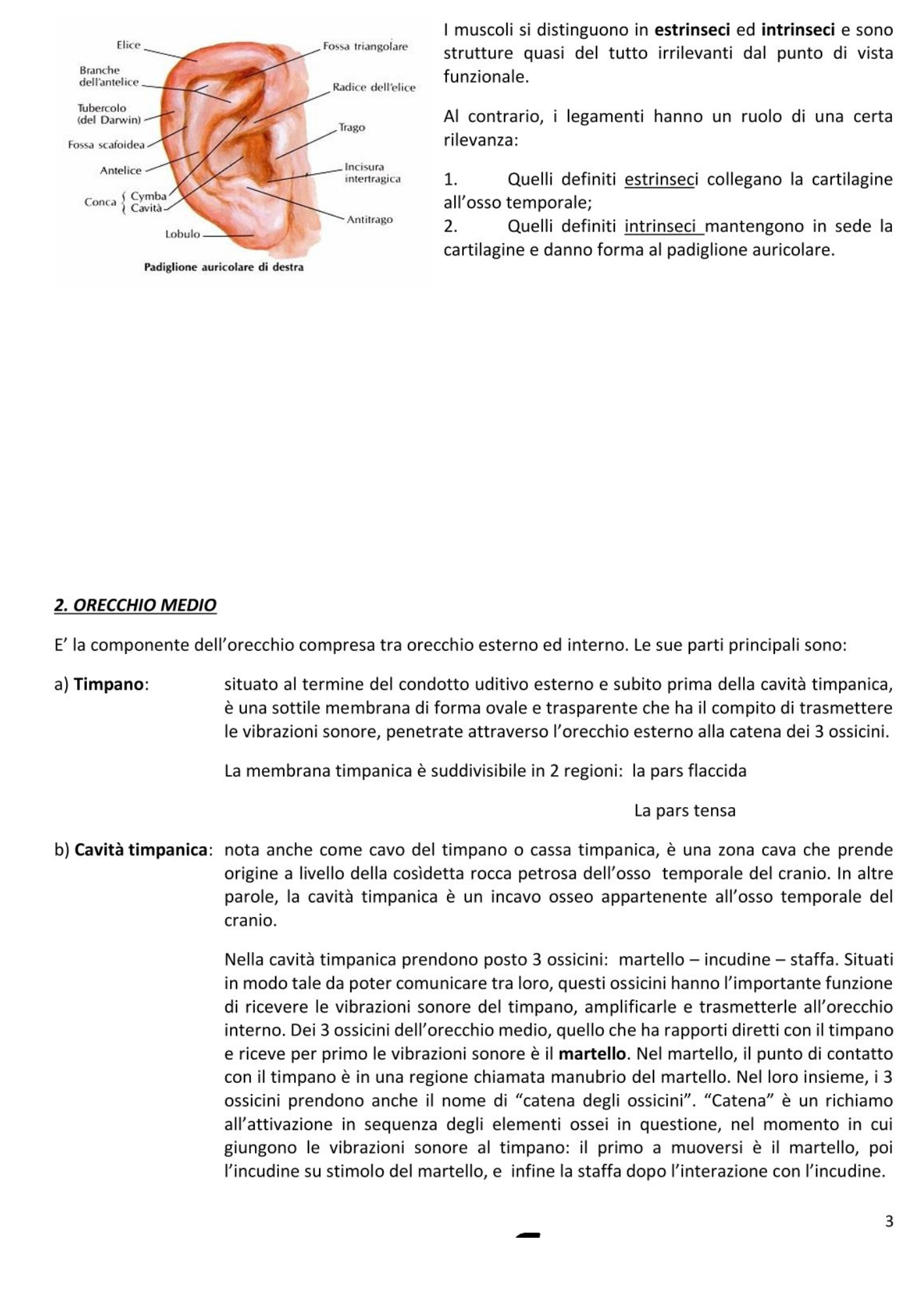 Otorinolaringoiatra e Chirurgia Maxillo Facciale
