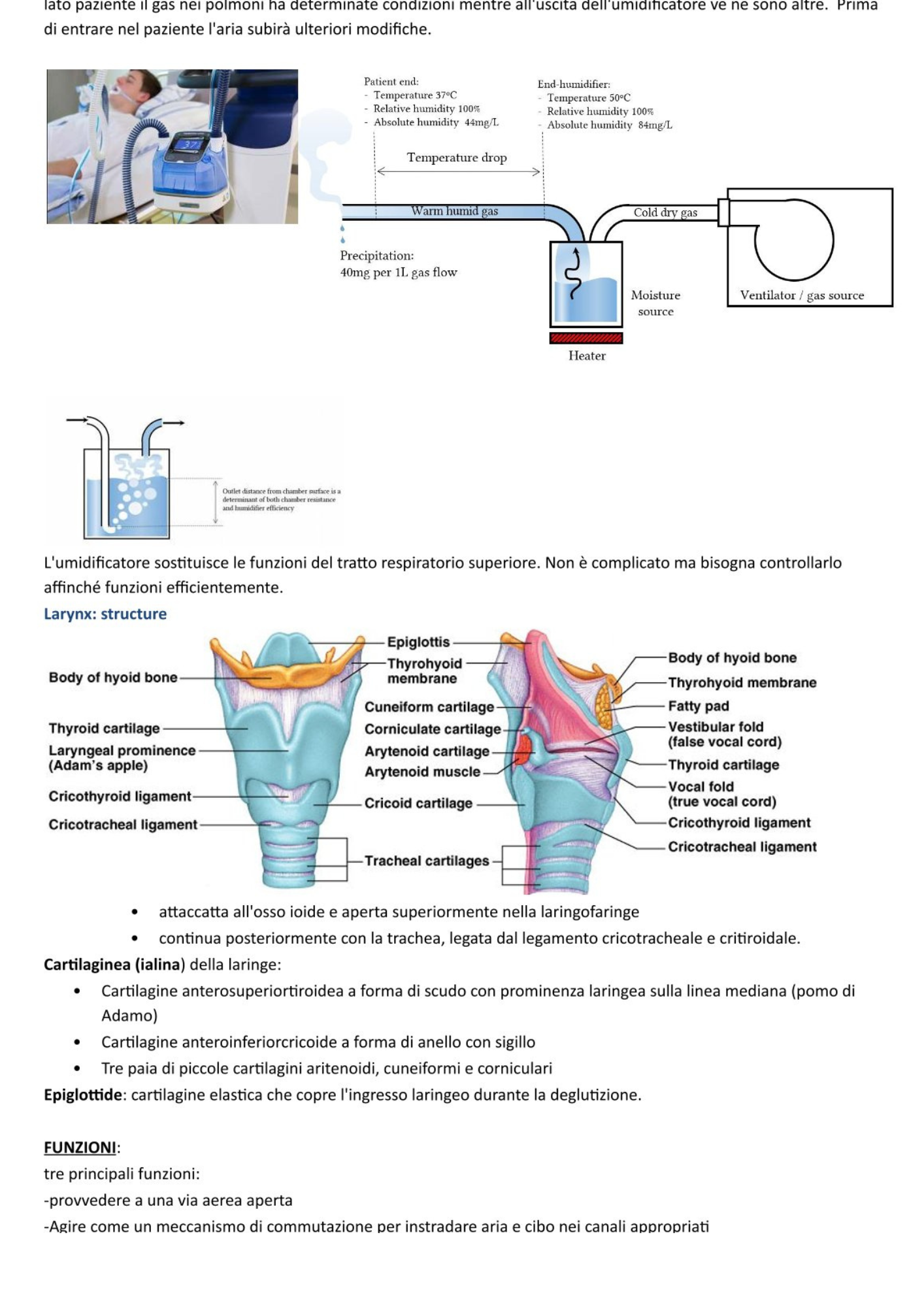 Sistema Respiratorio