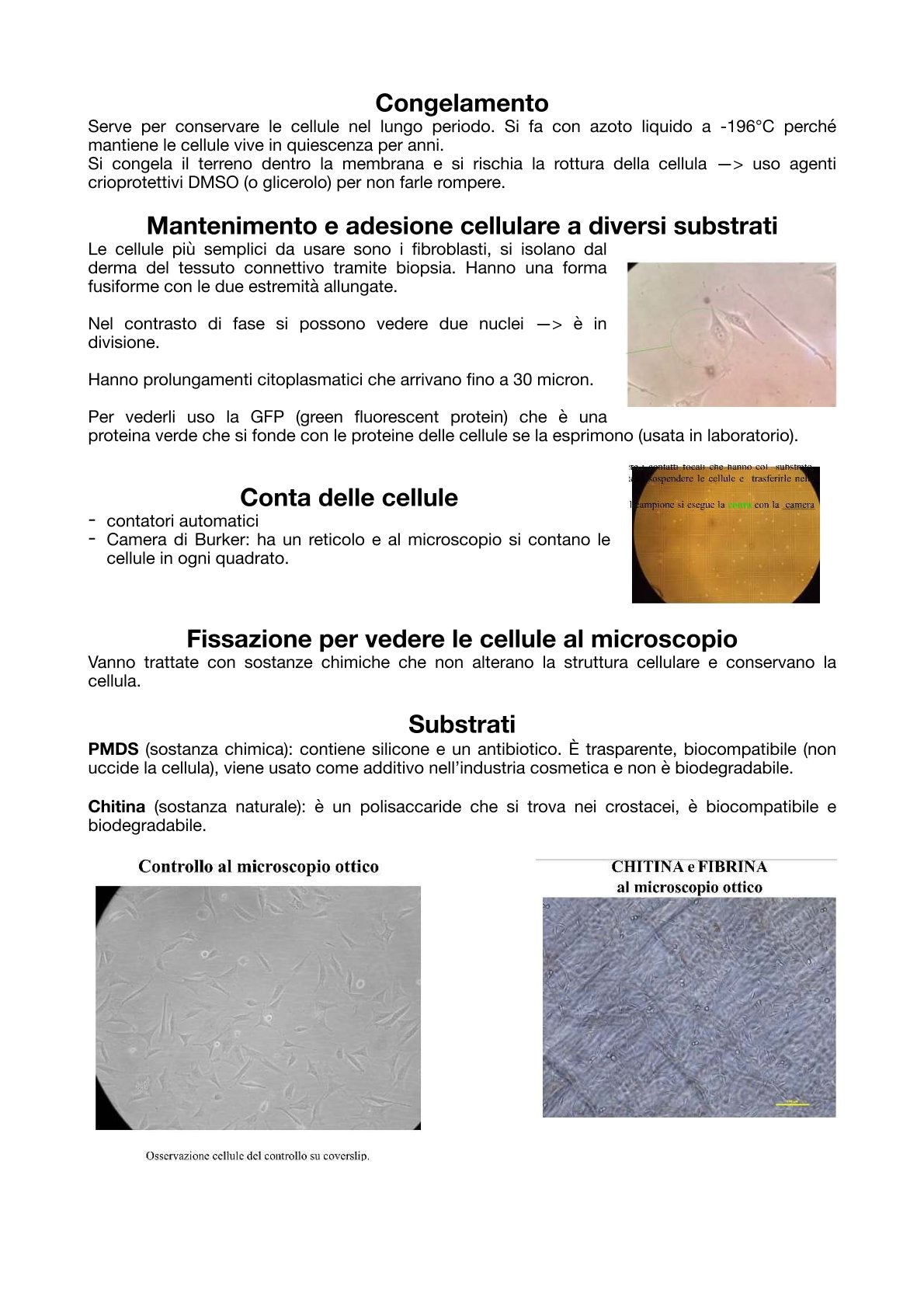 Medicina di Laboratorio