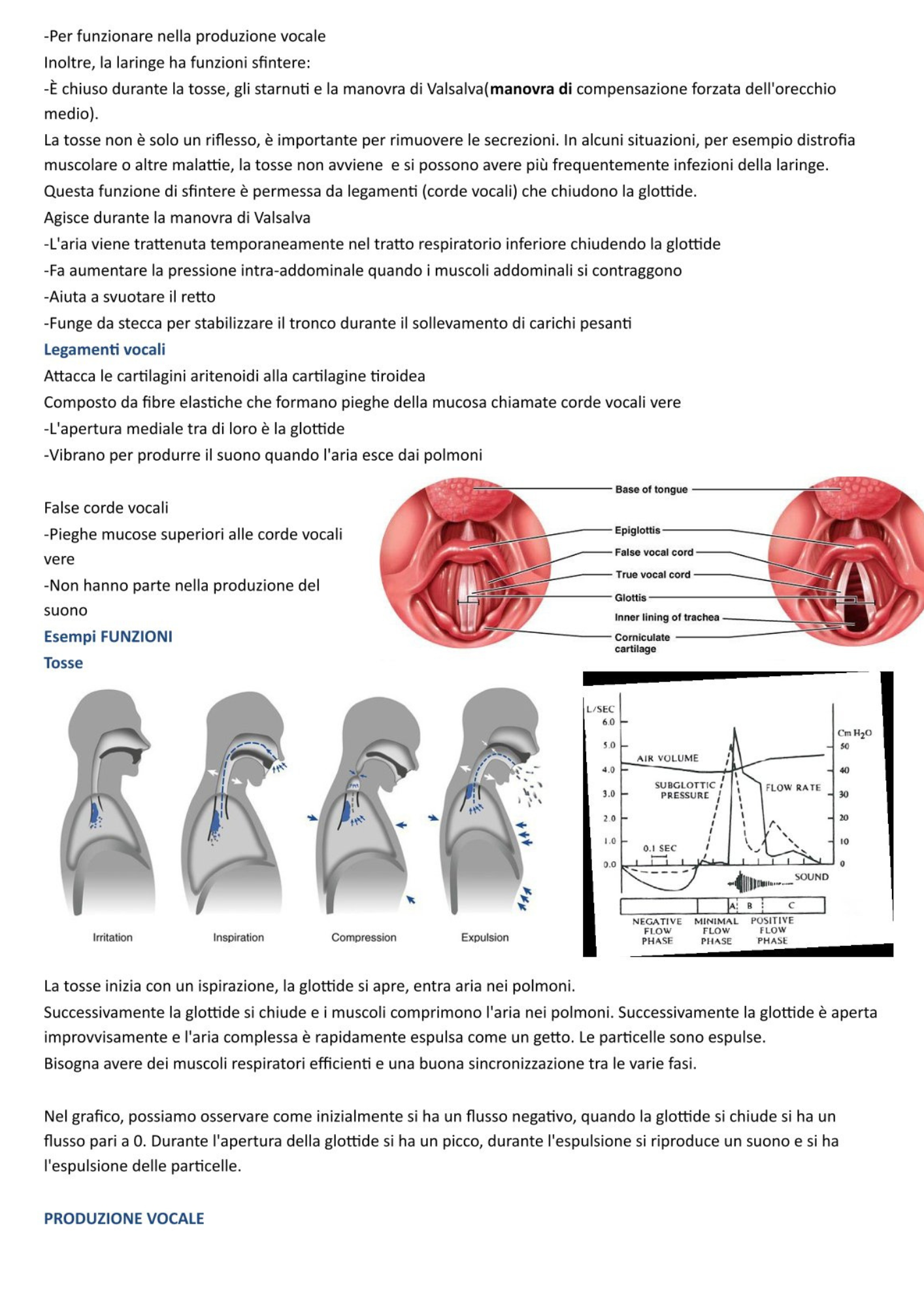 Sistema Respiratorio