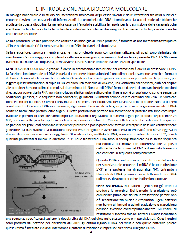 Biologia Molecolare