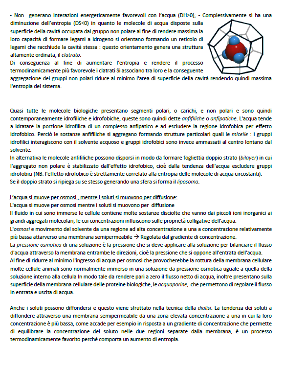 Biochimica