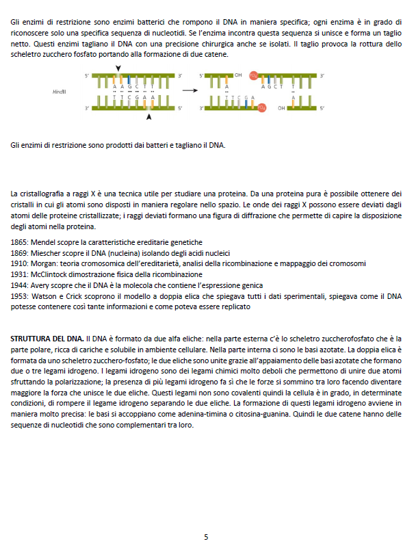 Biologia Molecolare