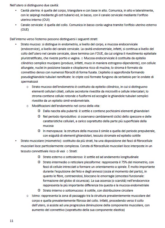 Ginecologia ed Ostetricia