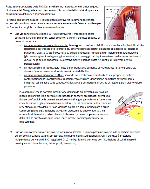 Clinica dell'apparato Visivo