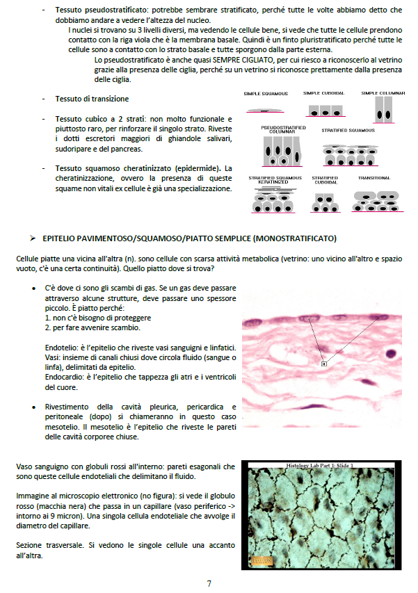 Istologia ed Embriologia
