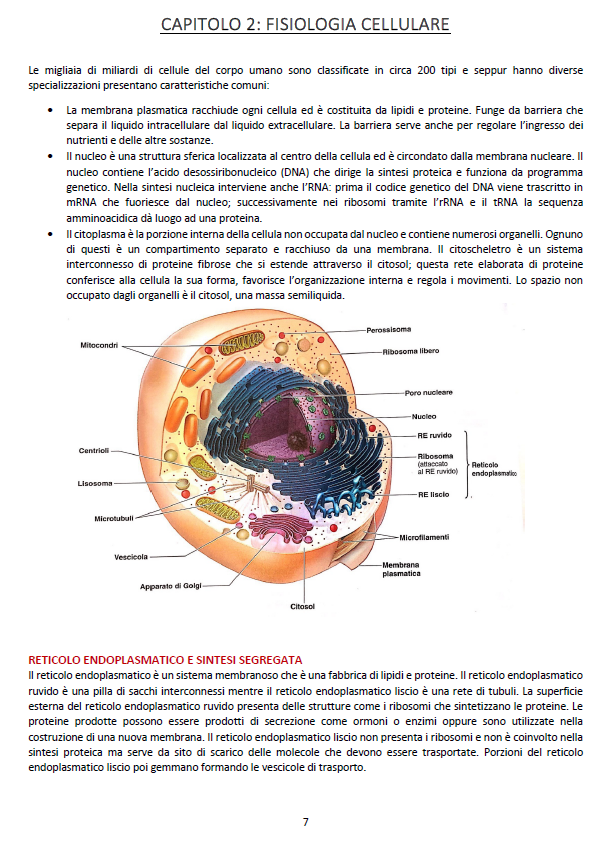 Fisiologia Umana