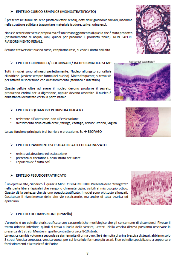 Istologia ed Embriologia