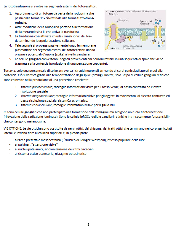 Clinica dell'apparato Visivo