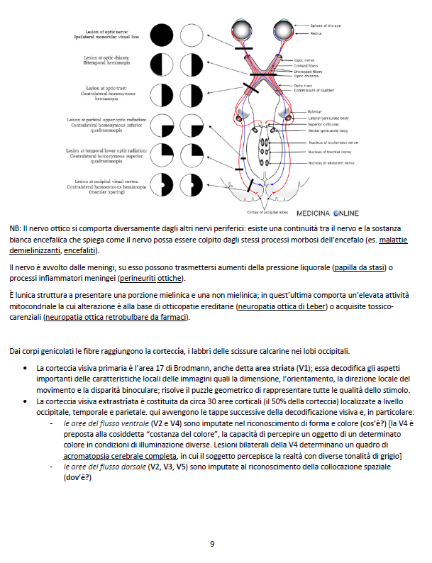 Clinica dell'apparato Visivo