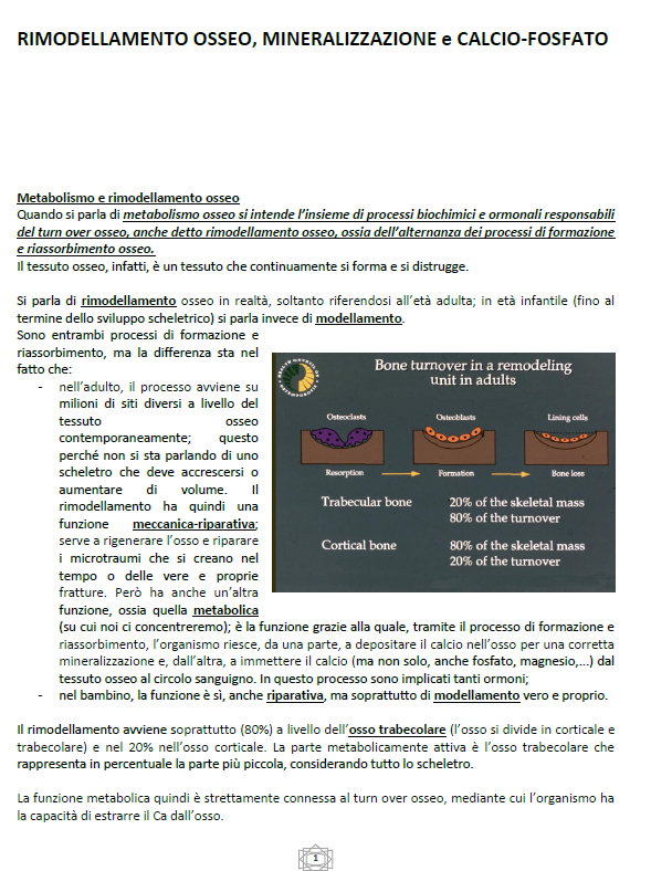 Malattie del Metabolismo Osseo