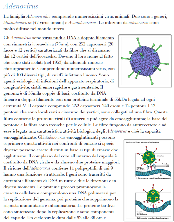 Virologia