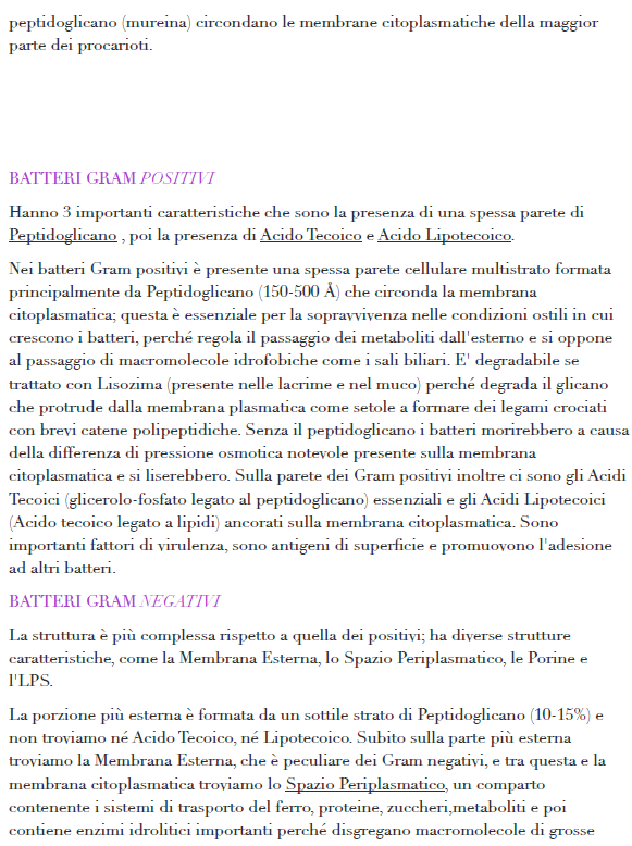 Batteriologia