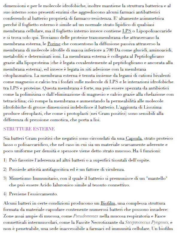 Batteriologia