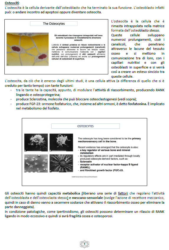 Malattie del Metabolismo Osseo