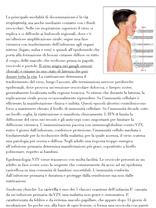 Virologia