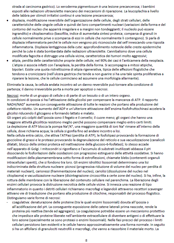 Anatomia Patologica