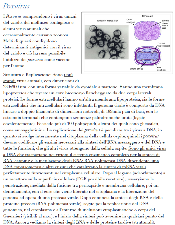 Virologia