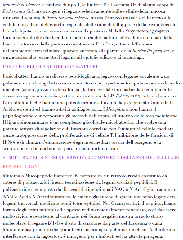 Batteriologia