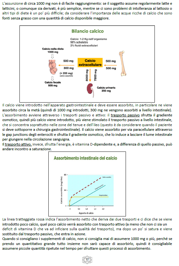 Malattie del Metabolismo Osseo